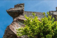 57230 - Philippsbourg.  Ruine du château de Falkenstein. : 57,Philippsbourg,château,ruine,Falkenstein