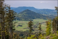 67220 - Urbeis.  Point de vue depuis la tour Julius au sommet du Climont. : 67,Alsace,Climont,point,vue