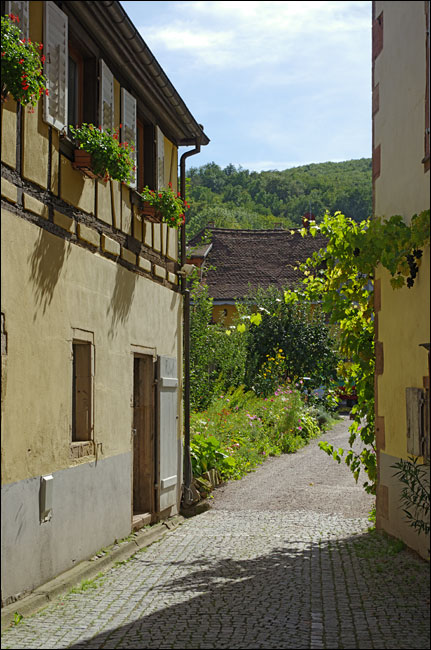 67140-Andlau.