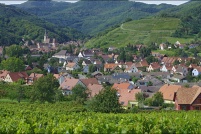 67140-Andlau.