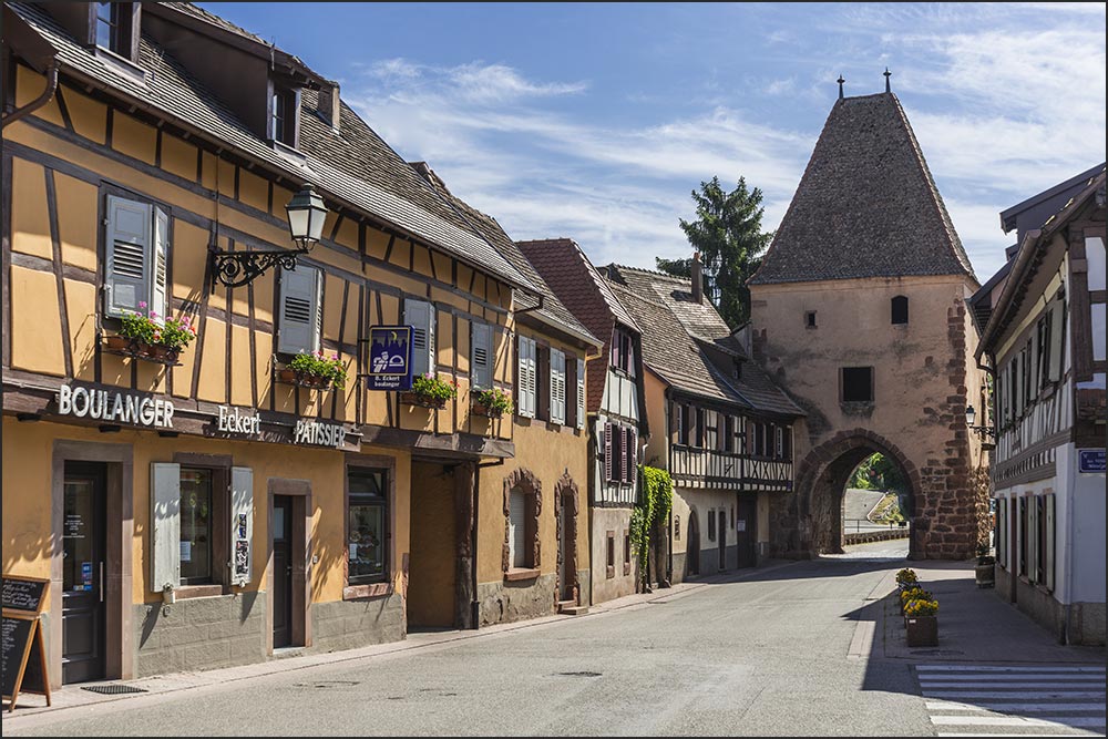 67530-Boersch.