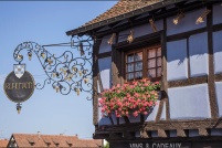 67650-Dambach-la-ville.