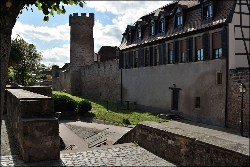 67210-Obernai.
