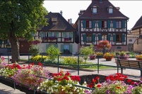 67750-Scherwiller.