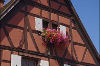 67750-Scherwiller. : 67,67750,Scherwiller