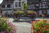 67750-Scherwiller. : 67,67750,Scherwiller
