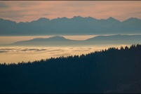 Les Alpes vues du Sommet du Hohneck.  Le 11-11-2015.