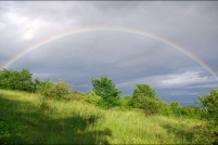 68570-Soultzmatt.  Arc en ciel au Zinnkoepfle. : 68,Soultzmatt,zinnkoepfle,arc,ciel