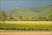 Vallée de Munster.  Château de Pflixbourg. : 68,vignoble,Vallée,Munster,pflixbourg