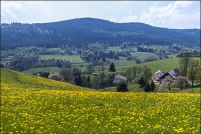 68650-Le Bonhomme.  Paysage aux environs du village. : 68,Le,Bonhomme,Paysages,rural