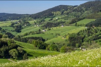 68 - Autres photos.