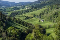 68650-Le Bonhomme.  Paysage aux environs du village. : 68,Le,Bonhomme,Paysages,rural