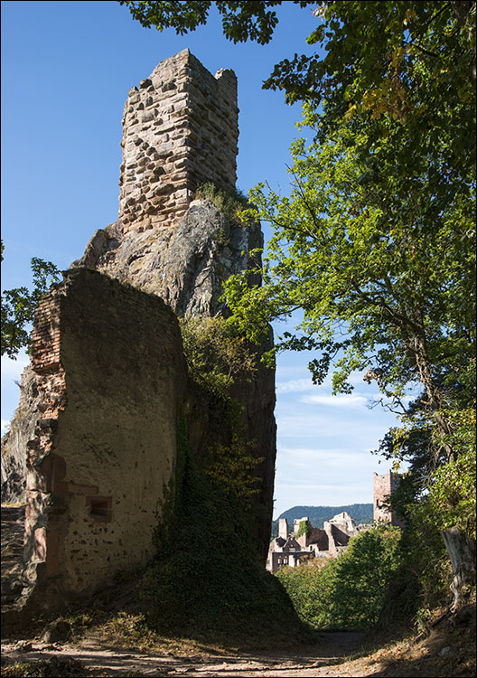 68150 - Ribeauvillé.