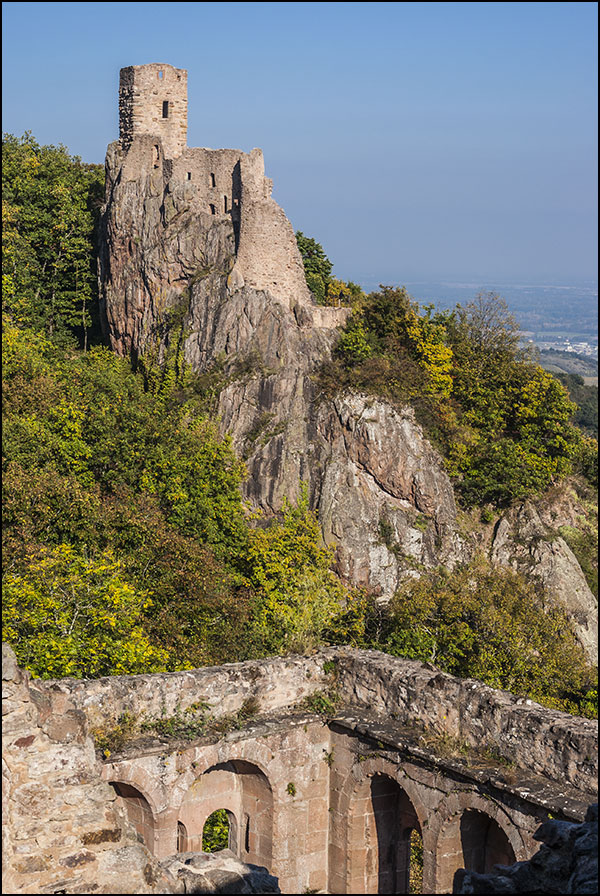 68150 - Ribeauvillé.
