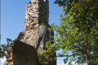68150 - Ribeauvillé.  Ruine du château du Girsberg. : 68,Ribeauvillé,château,Guirsberg
