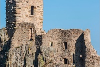 68150 - Ribeauvillé.  Ruine du château du Girsberg. : 68,Ribeauvillé,château,Guirsberg