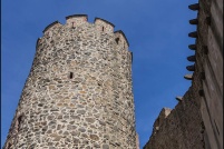 68240-Kaysersberg.  Ruine de la forteresse impériale. : 68,Kaysersberg,château,forteresse,impériale