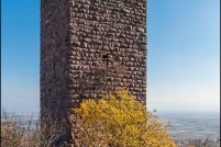 68420 - Husseren-les-châteaux.  Ruine de Weckmund. : 68,Husseren,château,Weckmund