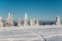 68 - Couleurs d'hiver.