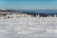 68140 Stosswihr.  Falimont en hiver. : 68, Alsace, crêtes, haut-rhin,neige