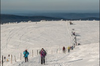 68140 Stosswihr.  Falimont en hiver. : 68, Alsace, crêtes, haut-rhin,neige