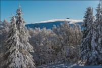 68140 Stosswihr.  Le Hohneck vu de Falimont. : 68, Alsace, crêtes, haut-rhin,neige