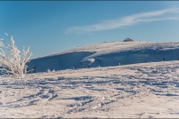 68140 Stosswihr.  Le Hohneck vu de Falimont. : 68, Alsace, crêtes, haut-rhin,neige