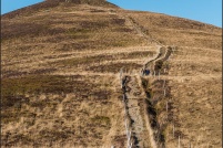 Sentier des Névés au Batteriekopf. : Alsace