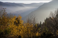 68 - Couleurs d'automne.