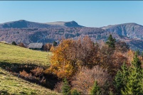 Paysage d'automne aux environs du Markstein. : Alsace