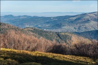 Vallée de Munster. : Alsace