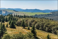 Vallée de Munster. : Alsace