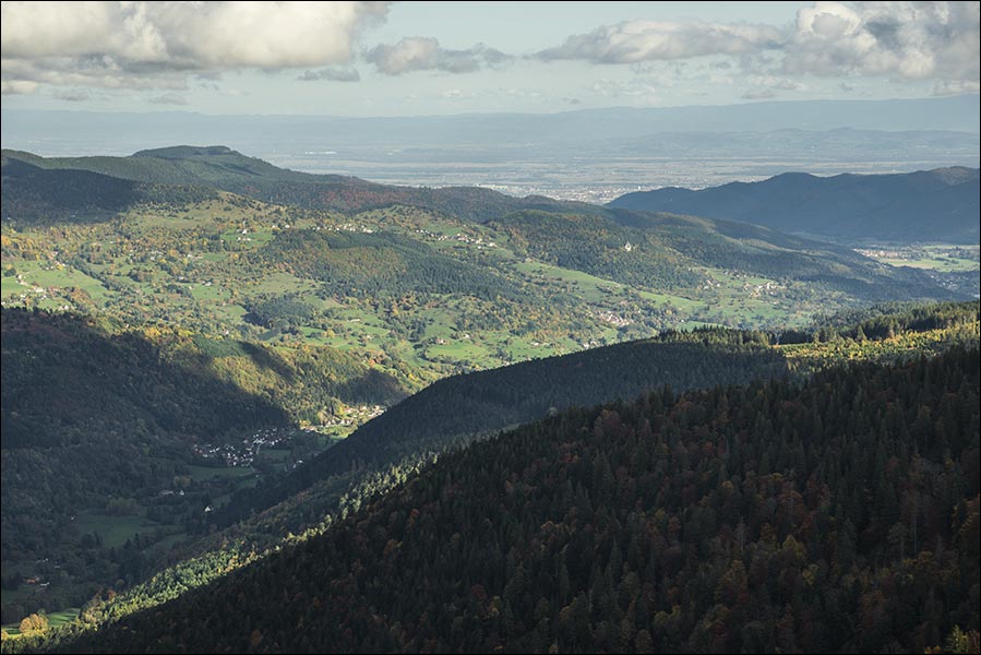 68-La vallée de Munster.