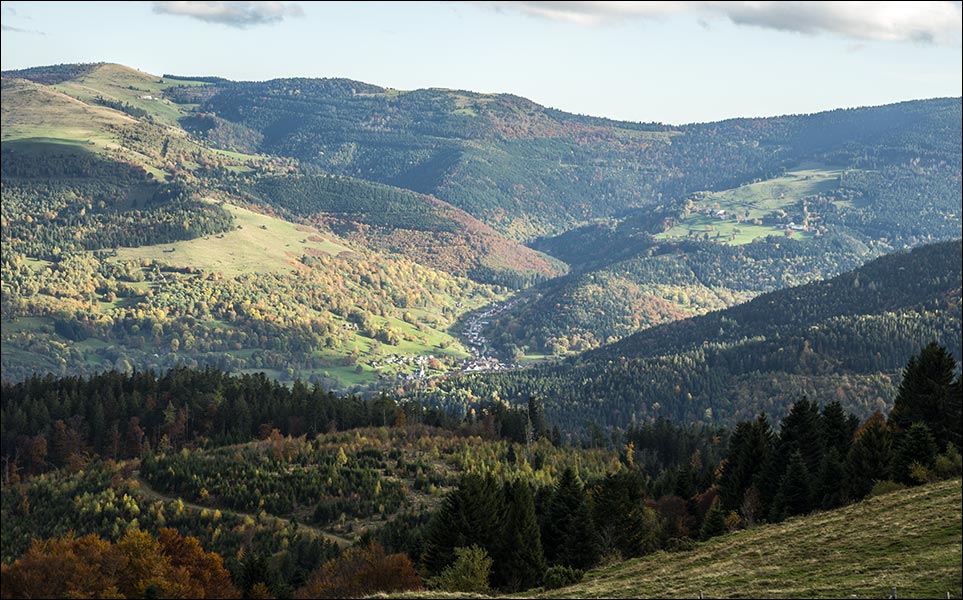 68-La vallée de Munster.