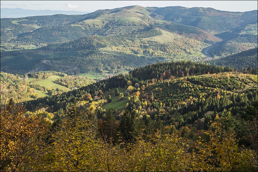 68-La vallée de Munster.