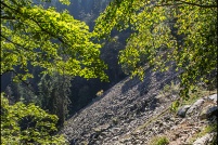 68140-Stosswihr.  Le sentier des roches.