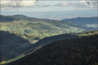 68-La vallée de Munster.  Point de vue depuis le sentier du tour du Petit Hohneck, automne 2013.