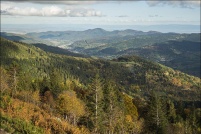 68-La vallée de Munster.  Point de vue depuis le sentier du tour du Petit Hohneck, automne 2013.
