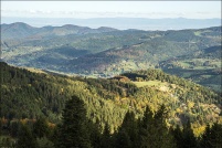 68-La vallée de Munster.  Point de vue depuis le sentier du tour du Petit Hohneck, automne 2013.