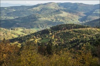 68-La vallée de Munster.  Point de vue depuis le sentier du tour du Petit Hohneck, automne 2013.