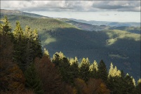 68-La vallée de Munster.  Point de vue depuis le sentier du tour du Petit Hohneck, automne 2013.