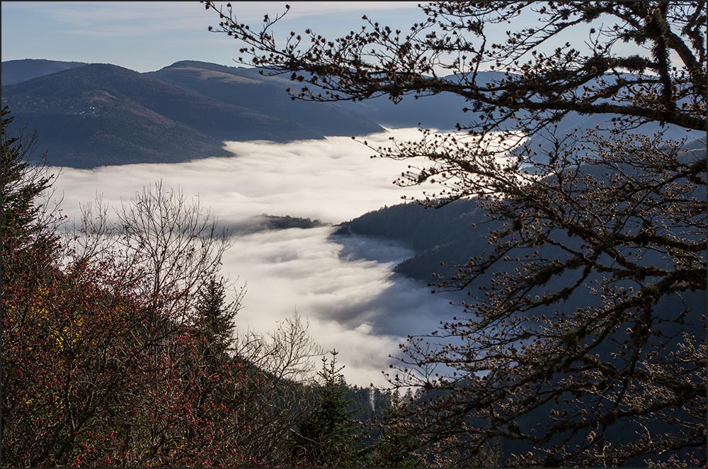 68-Mer de brouillard sur la vallée de Munster.