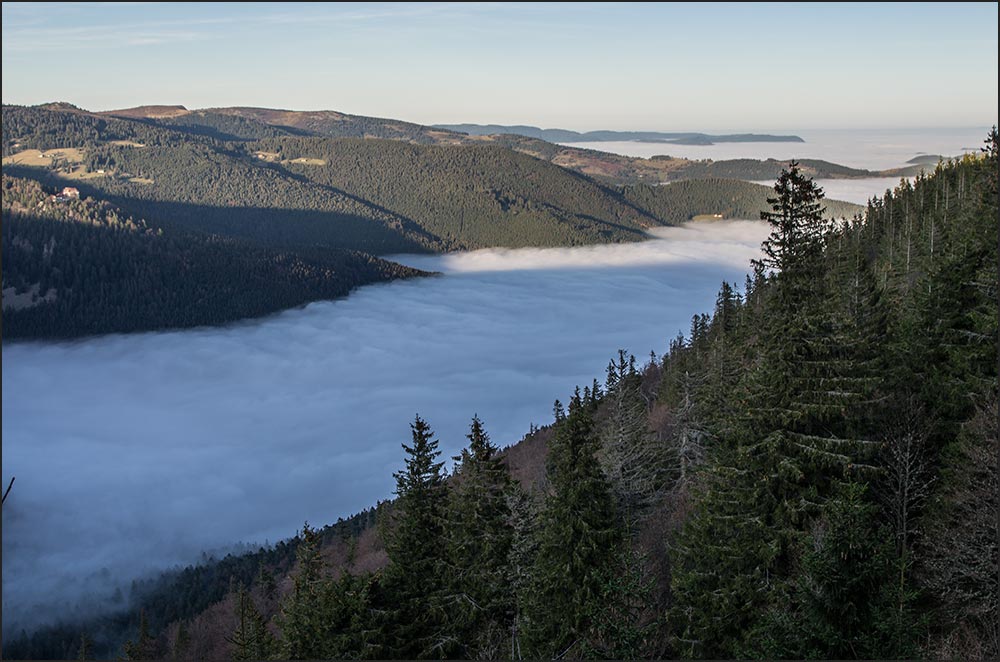 68-Mer de brouillard sur la vallée de Munster.
