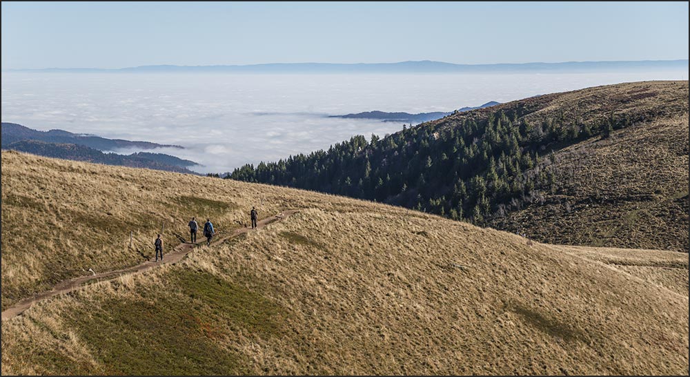 68-Mer de brouillard sur la vallée de Munster.