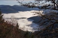 68-Mer de brouillard sur la vallée de Munster. : 68,Mer,Brouillard,vallée,Munster