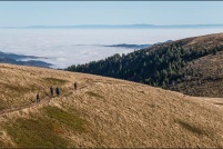 68-Mer de brouillard sur la vallée de Munster.  Photo prise depuis le Hohneck. : 68,Mer,Brouillard,vallée,Munster