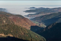 68-Mer de brouillard sur la vallée de Munster. : 68,Mer,Brouillard,vallée,Munster