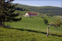 68760-Willer-sur-Thur.  Ferme-auberge du Ballon. : 68,Willer-sur-Thur,ferme,auberge,Ballon