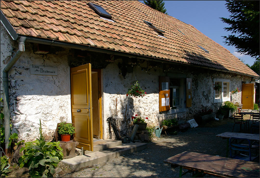 68290-Niederbruck.