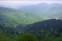 68230 Wasserbourg.  Ne vous privez pas de passer un agréable moment en pleine nature et en famille au cœur de cette belle vallée. : 68,Wasserbourg,ferme,auberge,Buchwald,transhumance